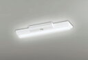 ODELIC LED非常用照明器具 階段通路誘導灯兼用型 直付 逆富士型 温白色 Hf16W高出力×2灯相当 高演色 LEDユニット付き XR506001R4D