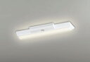 ODELIC LED非常用照明器具 階段通路誘導灯兼用型 直付 逆富士型 電球色 Hf16W高出力×2灯相当 高演色 LEDユニット付き XR506001R4E
