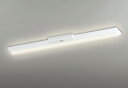 ODELIC LED非常用照明器具 階段通路誘導灯兼用型 直付 逆富士型 電球色 Hf32W定格出力×2灯相当 高演色 LEDユニット付き XR506002R4...