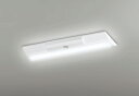 ODELIC LED非常用照明器具 階段通路誘導灯兼用型 直付 逆富士型 昼白色 FL20W×2灯相当 高演色 LEDユニット付き XR506004R3B