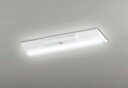 ODELIC LED非常用照明器具 階段通路誘導灯兼用型 直付 逆富士型 白色 FL20W×2灯相当 高演色 LEDユニット付き XR506004R3C