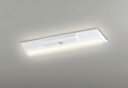 ODELIC LED非常用照明器具 階段通路誘導灯兼用型 直付 逆富士型 電球色 FL20W×2灯相当 高演色 LEDユニット付き XR506004R3E