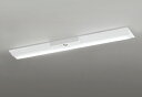 ODELIC LED非常用照明器具 階段通路誘導灯兼用型 直付 逆富士型 昼白色 FLR40W相当 高演色 LEDユニット付き XR506005R1B