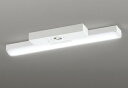 ODELIC LED非常用照明器具 階段通路誘導灯兼用型 直付 トラフ型 昼光色 FL20W相当 高演色 LEDユニット付き XR506007R1A