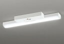 ODELIC LED非常用照明器具 階段通路誘導灯兼用型 直付 トラフ型 昼白色 FL20W相当 高演色 LEDユニット付き XR506007R1B
