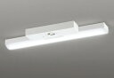ODELIC LED非常用照明器具 階段通路誘導灯兼用型 直付 トラフ型 白色 FL20W相当 高演色 LEDユニット付き XR506007R1C
