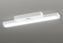 ODELIC LED非常用照明器具 階段通路誘導灯兼用型 直付 トラフ型 温白色 FL20W相当 高演色 LEDユニット付き XR506007R1D