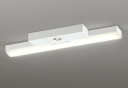 ODELIC LED非常用照明器具 階段通路誘導灯兼用型 直付 トラフ型 電球色 FL20W相当 高演色 LEDユニット付き XR506007R1E