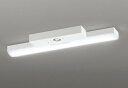 ODELIC LED非常用照明器具 階段通路誘導灯兼用型 直付 トラフ型 昼白色 FL20W×2灯相当 高演色 LEDユニット付き XR506007R3B