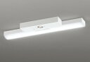 ODELIC LED非常用照明器具 階段通路誘導灯兼用型 直付 トラフ型 温白色 FL20W×2灯相当 高演色 LEDユニット付き XR506007R3D