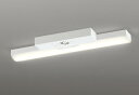 ODELIC LED非常用照明器具 階段通路誘導灯兼用型 直付 トラフ型 電球色 FL20W×2灯相当 高演色 LEDユニット付き XR506007R3E