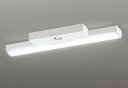 ODELIC LED非常用照明器具 階段通路誘導灯兼用型 直付 トラフ型 昼光色 Hf16W高出力×2灯相当 高演色 LEDユニット付き XR506007R4A