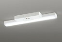 ODELIC LED非常用照明器具 階段通路誘導灯兼用型 直付 トラフ型 昼白色 Hf16W高出力×2灯相当 高演色 LEDユニット付き XR506007R4B