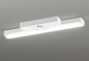 ODELIC LED非常用照明器具 階段通路誘導灯兼用型 直付 トラフ型 白色 Hf16W高出力×2灯相当 高演色 LEDユニット付き XR506007R4C