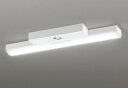 ODELIC LED非常用照明器具 階段通路誘導灯兼用型 直付 トラフ型 温白色 Hf16W高出力×2灯相当 高演色 LEDユニット付き XR506007R4D