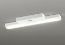 ODELIC LED非常用照明器具 階段通路誘導灯兼用型 直付 トラフ型 電球色 Hf16W高出力×2灯相当 高演色 LEDユニット付き XR506007R4E