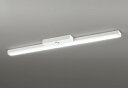 ODELIC LED非常用照明器具 階段通路誘導灯兼用型 直付 トラフ型 昼白色 Hf32W定格出力相当 高演色 LEDユニット付き XR506008R3B