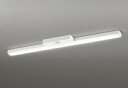 ODELIC LED非常用照明器具 階段通路誘導灯兼用型 直付 トラフ型 白色 Hf32W定格出力相当 高演色 LEDユニット付き XR506008R3C