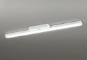 ODELIC LED非常用照明器具 階段通路誘導灯兼用型 直付 トラフ型 昼白色 Hf32W定格出力×2灯相当 高演色 LEDユニット付き XR506008R4...