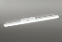 ODELIC LED非常用照明器具 階段通路誘導灯兼用型 直付 トラフ型 温白色 Hf32W定格出力×2灯相当 高演色 LEDユニット付き XR506008R4...