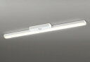 ODELIC LED非常用照明器具 階段通路誘導灯兼用型 直付 トラフ型 電球色 Hf32W定格出力×2灯相当 高演色 LEDユニット付き XR506008R4...