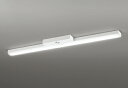 ODELIC LED非常用照明器具 階段通路誘導灯兼用型 直付 トラフ型 昼光色 Hf32W高出力×2灯相当 高演色 LEDユニット付き XR506008R6A
