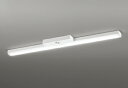 ODELIC LED非常用照明器具 階段通路誘導灯兼用型 直付 トラフ型 昼白色 Hf32W高出力×2灯相当 高演色 LEDユニット付き XR506008R6B