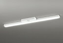 ODELIC LED非常用照明器具 階段通路誘導灯兼用型 直付 トラフ型 白色 Hf32W高出力×2灯相当 高演色 LEDユニット付き XR506008R6C