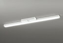 ODELIC LED非常用照明器具 階段通路誘導灯兼用型 直付 トラフ型 温白色 Hf32W高出力×2灯相当 高演色 LEDユニット付き XR506008R6D