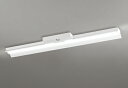 ODELIC LED非常用照明器具 階段通路誘導灯兼用型 直付 反射笠付型 温白色 FLR40W相当 高演色 LEDユニット付き XR506011R1D