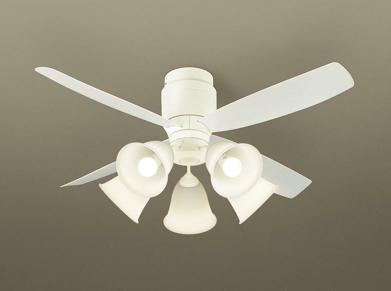 ѥʥ˥å󥰥եŷľշåȼաʴʰ׼աˡDC⡼ס14ŵ忧100ŵ5ʥաˡ4...