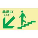 日本緑十字社 高輝度蓄光避難誘導標識 非常口(階段左下) TKN108 130×230 東京都条例適合品 068048 ≪クリックポスト対応≫(3)