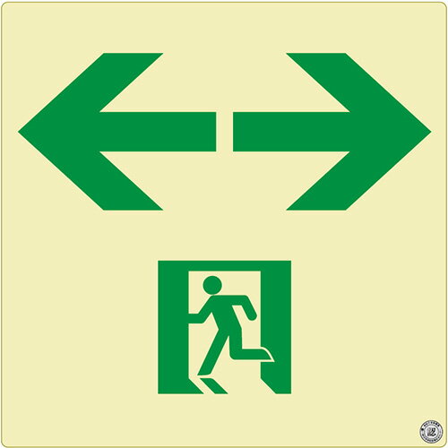 エルティーアイ　高輝度蓄光式誘導標識　SN シリーズ　C級認定品　C200級　ステッカータイプ　消防認定取得　200mm角　正方形（スクエア）タイプ　通路誘導標識 両矢印　SN943≪クリックポスト発送≫