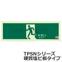 エルティーアイ 中輝度蓄光式誘導標識 TPSN シリーズ 硬質蓄光塩ビ版タイプ 消防認定取得 120mm×360mm 避難口誘導標識 矢印無 JIS規格JBクラス対応品 TPSN804