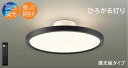 DAIKO LEDシーリング(LED内蔵) 〜12畳 LED43.5W 調色・調光タイプ(6500K〜2700K) クイック取付式 リモコン付 DXL81352