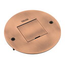 TERADA フロアコンセント テラコン 低床用フロアコンセント ヴィンテージブラウンプレート+器具(電源接地付抜止×1) LSF8004VBR ※受注生産品