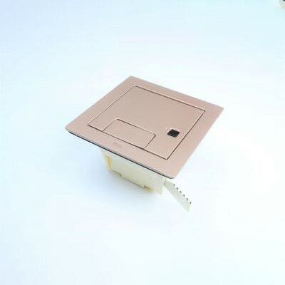 TERADA　フロアコンセント　テラコン　フリーアクセスフロア用　バリアフリー対応スマートコンセント　CEAシリーズ　深型ボックス＋プレート(シャンパンゴールド)　CEA80000M020