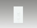 TES LIGHTING PWM調光・調色コントローラー(2ch用) PWM調光器 DC24V 白(ホワイト) TLC0011
