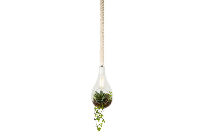 SWAN　BOTANIC HANGING LIGHT with FAKEGREEN　ペンダントライト　引掛シーリング　簡易取付　ハンギングライト　ガラス・コットン　E26 コード長1.0M　クリア　フェイクグリーン　APE021FGK