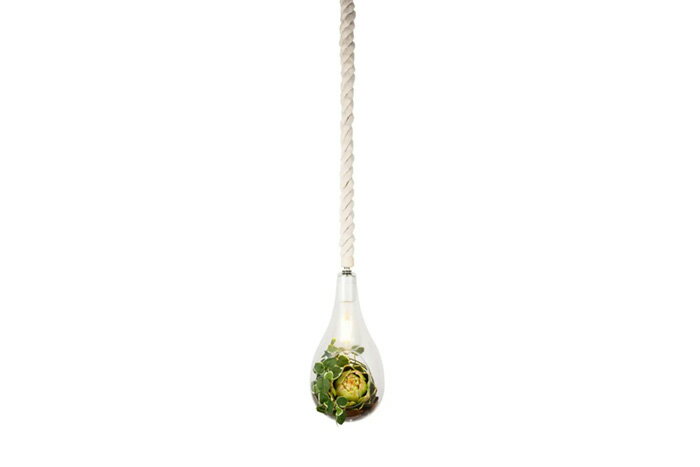 SWAN　BOTANIC HANGING LIGHT with FAKEGREEN　ペンダントライト　引掛シーリング　簡易取付　ハンギングライト　ガラス・コットン　E26 コード長1.0M　クリア　フェイクグリーン　APE021FGL