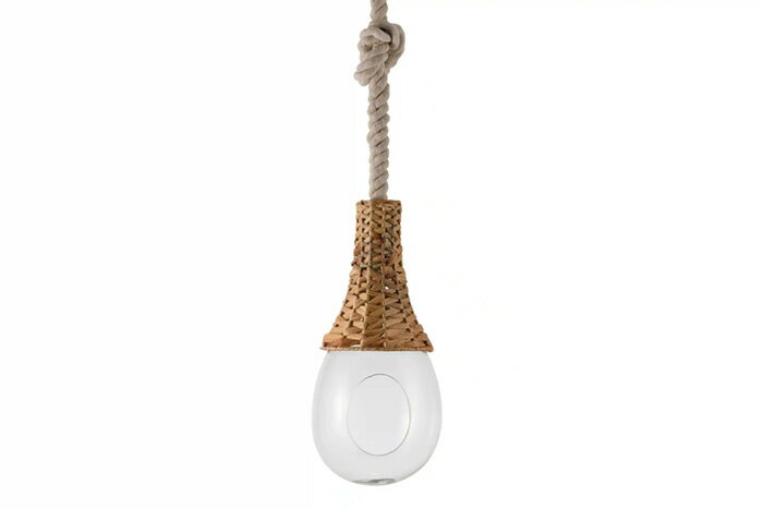 Pendant Lamps - SWAN　BOTANIC HANGING BASKET LIGHT　ペンダントライト　引掛シーリング　簡易取付　ハンギングライト　ガラス / ウォーターヒヤシンス　コード長さ1.0M　E26　APE027HCA