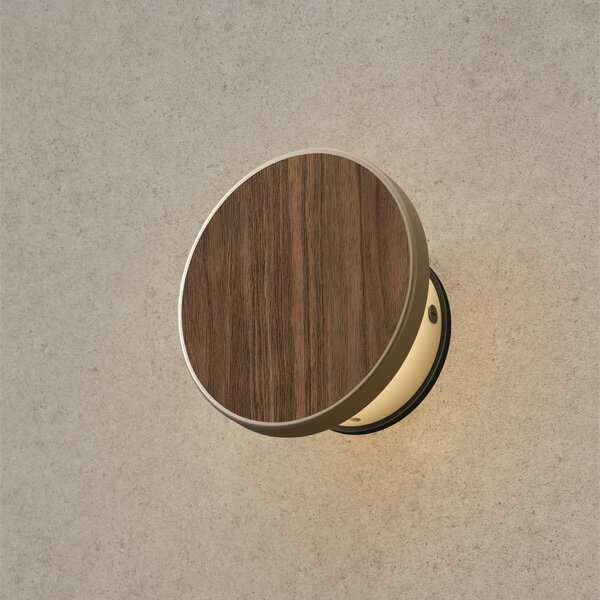 タカショー　エバーアートウォールライト　100V　3型　電球色　ブラウンエボニー　コード:52938400　HFBD31E