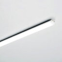 ☆DNライティング　DNLED’s　LEDモジュール　FL−LED2　全長1424mm　電球色　2800K　電源装置別売　FLLED21424L28 ※受注生産品