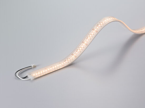 DN饤ƥ󥰡LEDêêܾѡե쥭֥LED⥸塼롡٥סȥåץӥ塼FXH-LEDŸ...