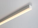 DNライティング TRIM LINE LED照明器具 間接照明 TRH D-FPL 調光兼用型 ドーム型カバー 全長1500mm 温白色 TRH1500WWDFPL ※受注生産品