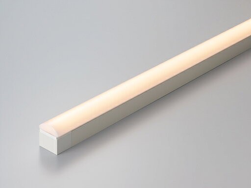 DNライティング TRIM LINE LED照明器具 間接照明 TRM D-FPL ドーム型カバー 調光兼用型(PWM調光) 全長850mm 電球色(2800K) TRM850L28DFPL ※受注生産品 DNライティング TRIM LINE LED照明器具 間接照明 TRM D-FPL ドーム型カバー 調光兼用型(PWM調光) 全長850mm 電球色(2800K) TRM850L28DFPL ※受注生産品