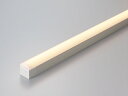 DNライティング TRIM LINE LED照明器具 間接照明 TRM D-FPL ドーム型カバー 調光兼用型(PWM調光) 全長850mm 温白色 TRM850WWDFPL ※受注生産品