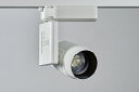 TOKISTAR 自在配光スポットライト Sシリーズ DYNAMIC ADAPTIVE SPOTLIGHT 配線ダクトレール AC100V 屋内用 電球色300...