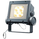 岩崎 LEDioc FLOOD NEO(レディオック フラッド ネオ) LED投光器 20クラス 狭角タイプ ナトリウム色(2100K)タイプ 本体色:ダークグレイ LED一体形 耐塩塗装 ECF2040NNHSAN8DG ※受注生産品(3)