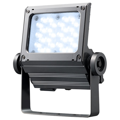 岩崎　LED投光器　LEDiocFLOODNEO(レディオックフラッドネオ)　重耐塩仕様　LED・電源ユニット内蔵形　60クラス　本体色：ダークグレイ　狭角タイプ　昼光色(6500K)　ECF6050NDSAN8DG ※受注生産品